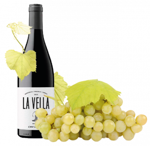 LA-VELLA